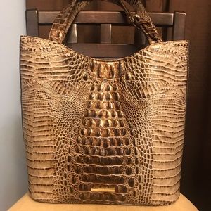 Brayden bark Melbourne